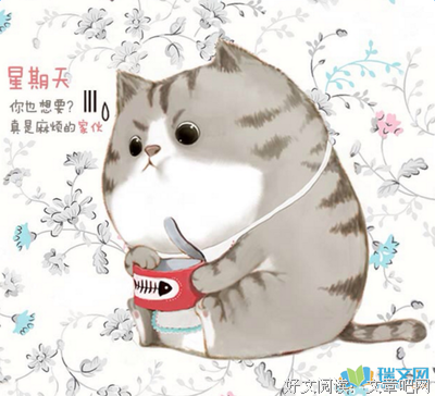 关于摘抄的优美句子