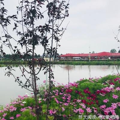 谁不是“只把他乡作故乡”？