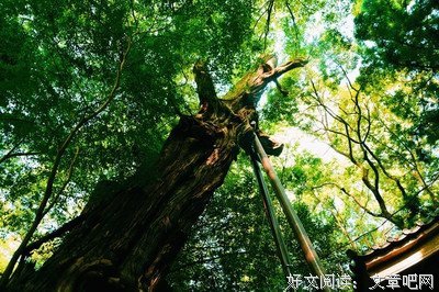 偶遇与家在着经典名句