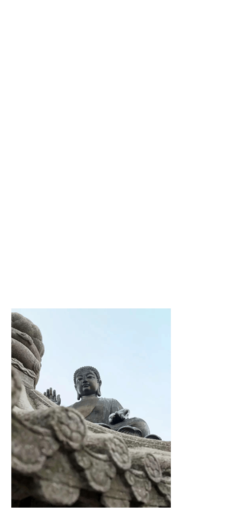 哀经典名句
