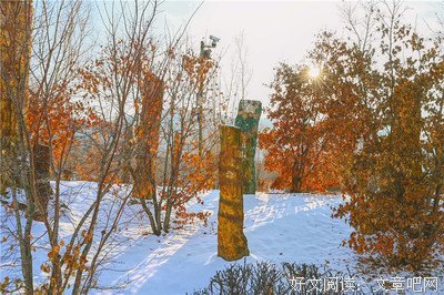 「世界上最爱我的人」第三百四十九章