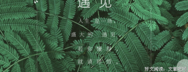 《赵南栋》经典读后感有感