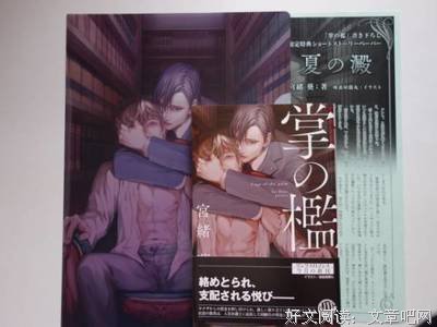 《掌の檻》读后感精选