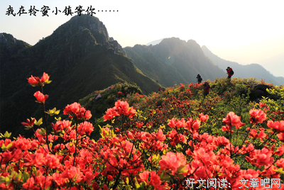 关于一朝一夕的座右铭