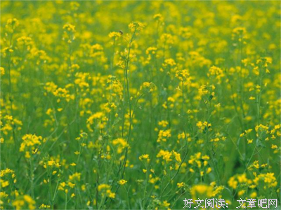 关于应有尽有的格言