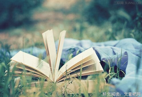15条关于微乎其微的经典语句