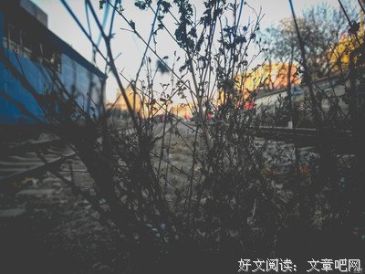 万籁俱寂的名言_关于万籁俱寂的名言