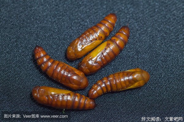 有关看完鼻子上们事学事酸么的句子