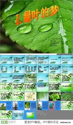 有关梦的句子
