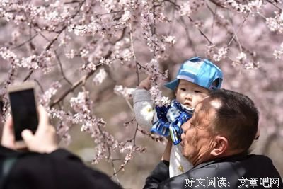 关于偶遇佳句的优美句子