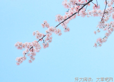 关于心烦意乱的语句