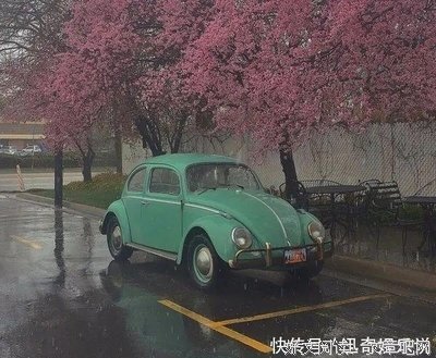 关于远走高飞的语句