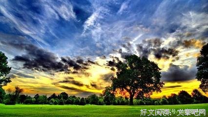15条关于心力交瘁的经典语句
