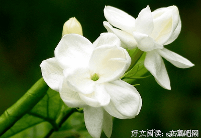 关于兢兢业业的语句