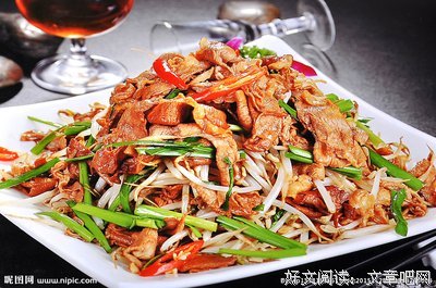 笨，是最高级的聪明