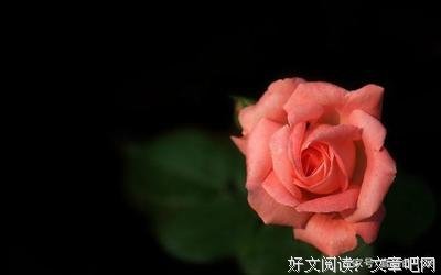 夜未央优美的句子