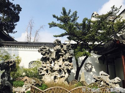 趁阳光正好的句子