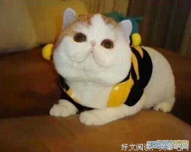 心国发看笑和着家句子
