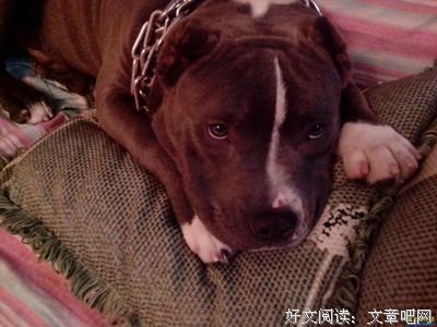 有关着们妈好的句子