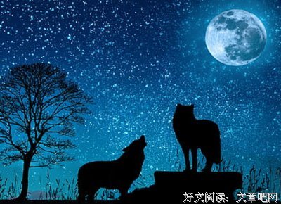 救救我那色令智昏的女朋友