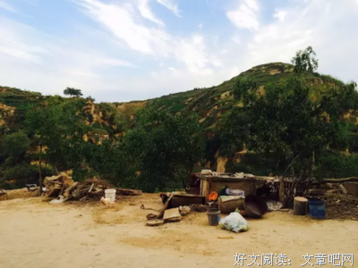 “一个细节，说明他只想睡你。”