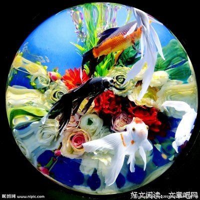 《镜花水月 第二季》观后感精选