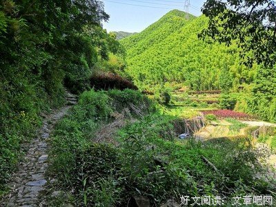 《白云桥》影评精选
