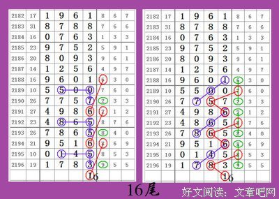 [心灵码仙排列五20173期]精彩图规
