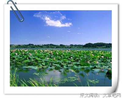 一片云名言