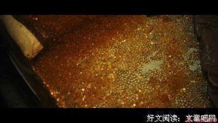 《变蚊人》观后感精选
