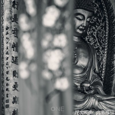 《不即不离》观后感100字