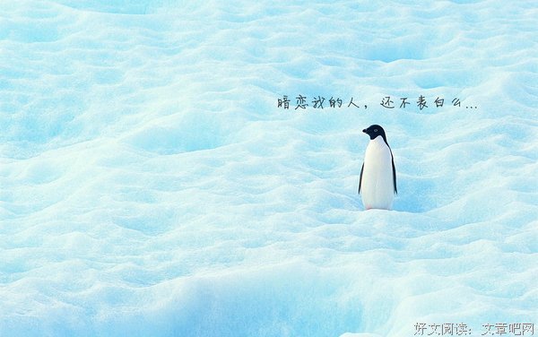 经典语句