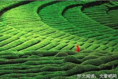 人活一世，三不急