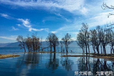 关于绮子影的优美句子