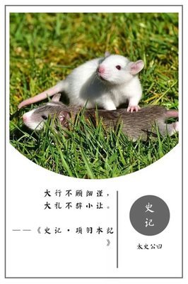 我所爱的经典名句