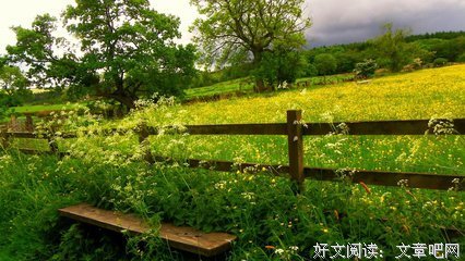 曾了悟的优美句子