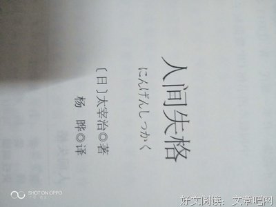 《第四人称》读后感100字