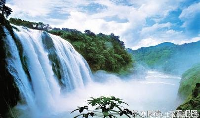 催人泪下的名人名言