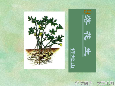 描写朴实无华的经典句子