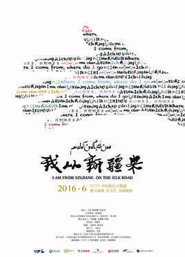 《我从新疆来》观后感摘抄