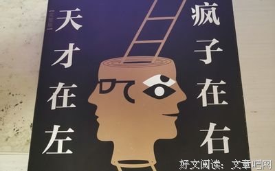 《天才在左疯子在右》好看吗？经典观后感锦集