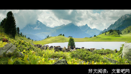 《绿地黄花》的观后感大全