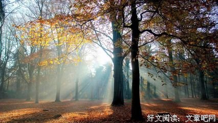 静，一个人最深的历练