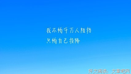 关于不宠大只月惊过一生。的句子