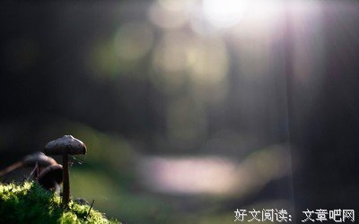 左耳经典名句
