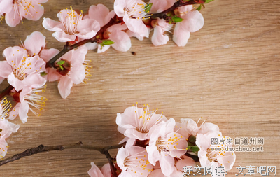 桃花依旧妖娆名句欣赏