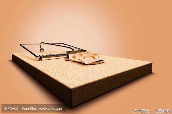 《奶酪陷阱1》读后感锦集