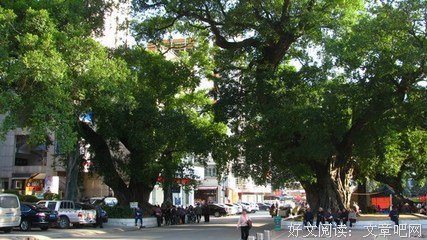 关于混为一谈的格言