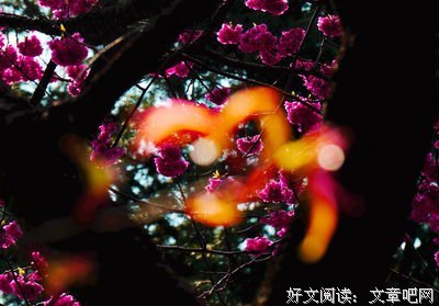 心花怒放的句子