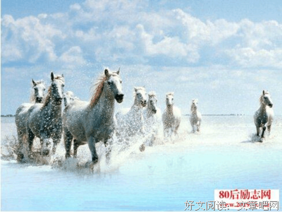 如是名句欣赏